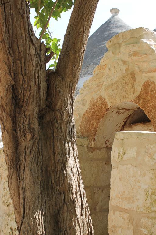 צ'יסטרנינו Masseria Gianecchia מראה חיצוני תמונה