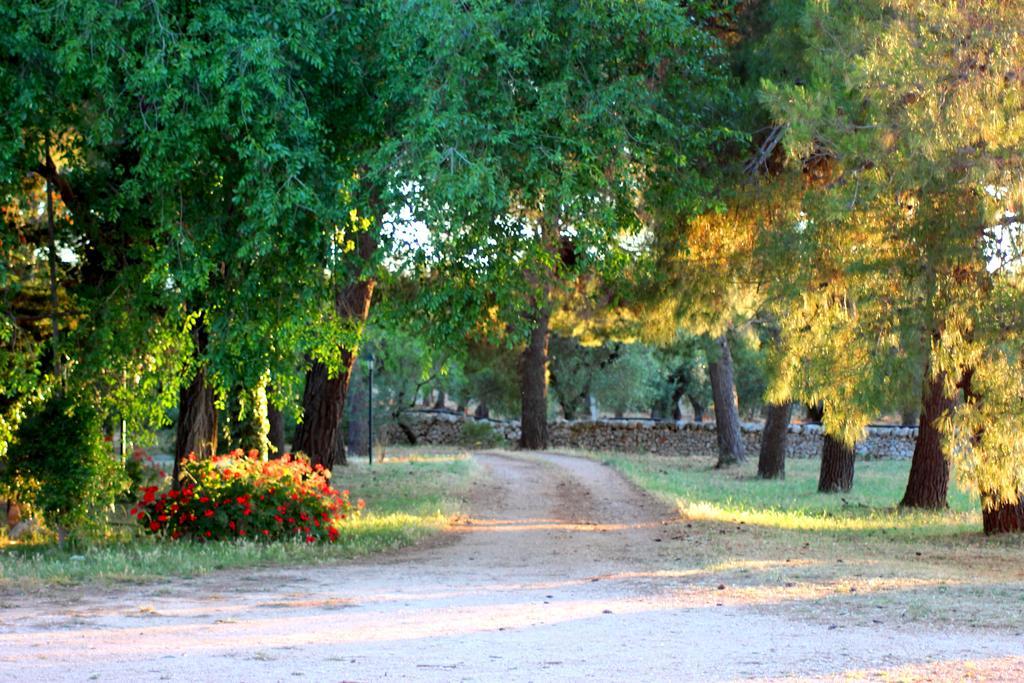 צ'יסטרנינו Masseria Gianecchia מראה חיצוני תמונה