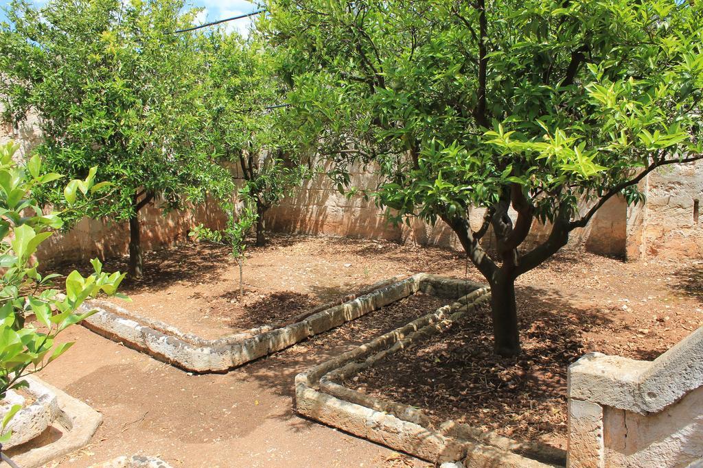 צ'יסטרנינו Masseria Gianecchia מראה חיצוני תמונה